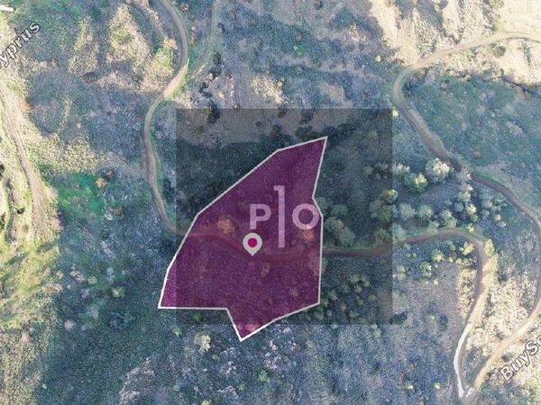land for sale pigenia nicosia 8275290 image 15158957