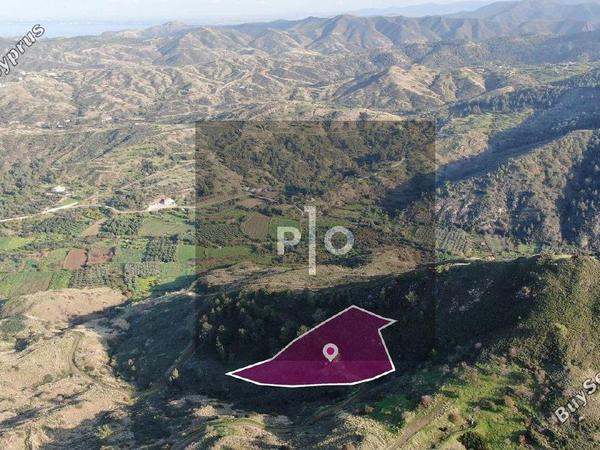 land for sale pigenia nicosia 8275290 image 15158959