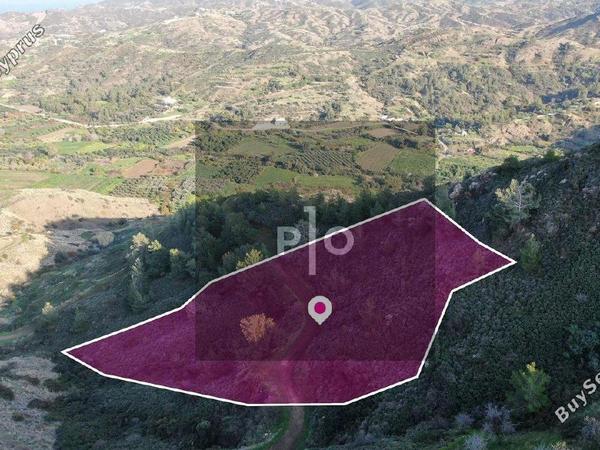 land for sale pigenia nicosia 8275290 image 15158960