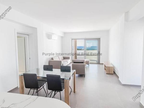 3 bedroom detached house for sale coral bay paphos 8343390 image 14374264