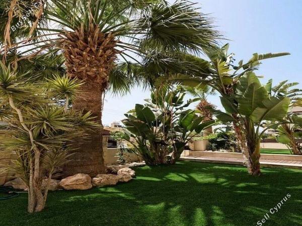 6 bedroom detached house for sale kato paphos universal paphos 1898390 image 14215548