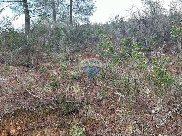 land for sale eptagoneia limassol 1503390 image 14116135