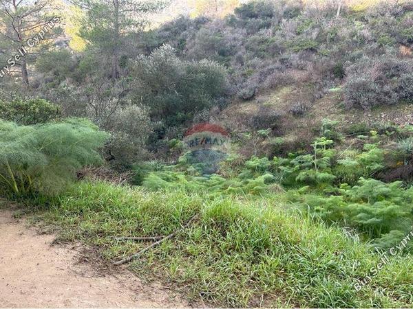 land for sale eptagoneia limassol 1503390 image 14116138