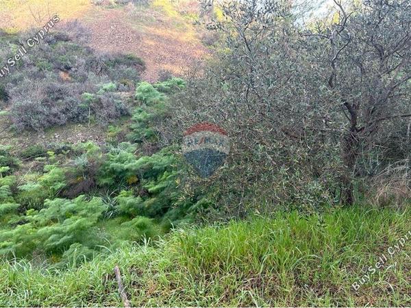 land for sale eptagoneia limassol 1503390 image 14116145