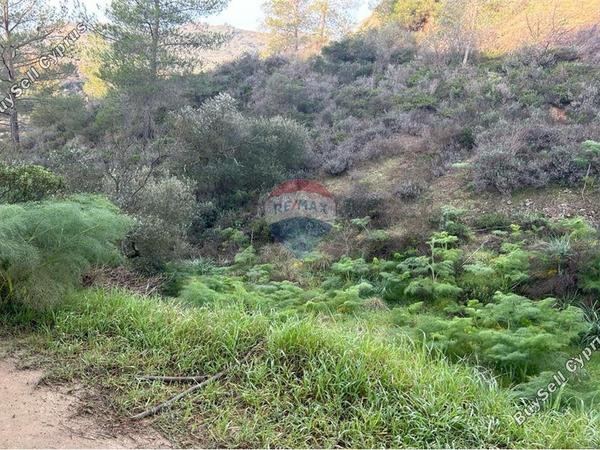 land for sale eptagoneia limassol 1503390 image 14116149