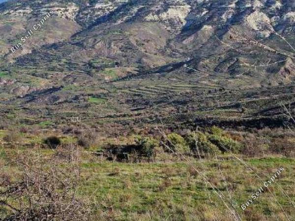 land for sale kelokedara paphos 8140390 image 15596261