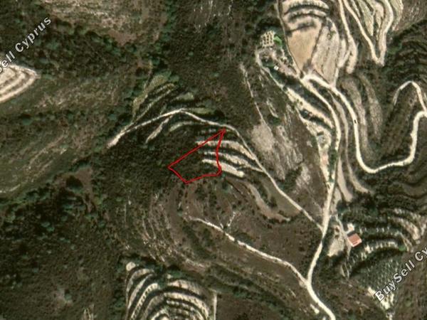 land for sale koili paphos 828390 image 2807279