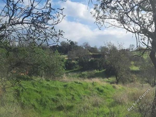 land for sale pigenia nicosia 8040390 image 15931518