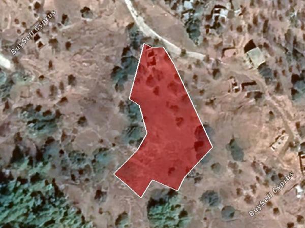 land for sale pigenia nicosia 8040390 image 15931521
