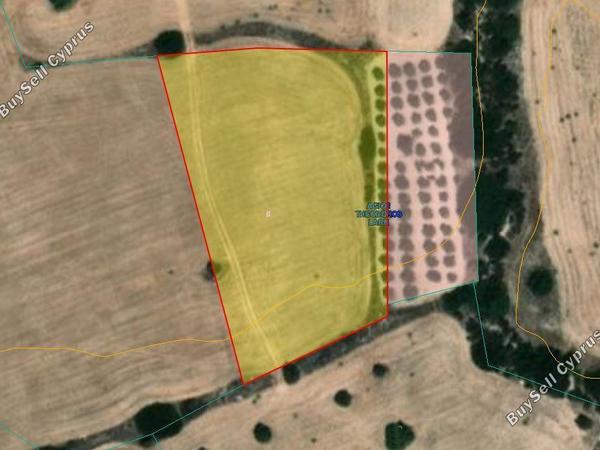 plot for sale agios theodoros larnacas larnaca 1804390 image 15981106