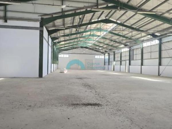 studio warehouse for rent aradippou larnaca 7816490 image 10651185
