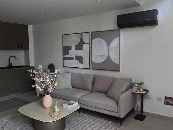 1 bedroom apartment for rent larnaca municipality larnaca 8387590 image 17215874