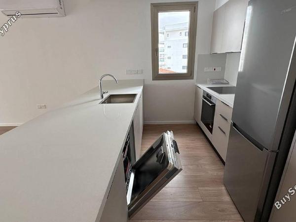 2 bedroom apartment for rent acropolis nicosia 8711590 image 16569891