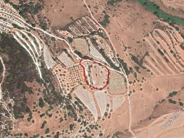 land for sale kallepeia paphos 906590 image 2809410