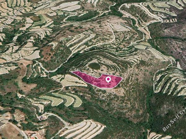 land for sale koili paphos 8237590 image 14231026