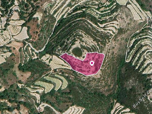land for sale koili paphos 8237590 image 14231028
