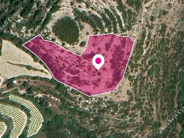 land for sale koili paphos 8237590 image 14231033