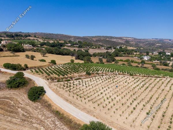 land for sale pano akourdalia paphos 7703590 image 16700717