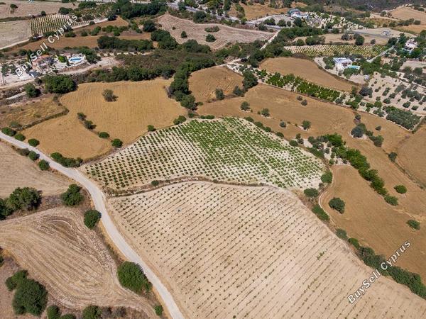 land for sale pano akourdalia paphos 7703590 image 16700718