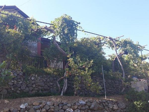 2 bedroom detached house for sale prodromos limassol 1545690 image 16840086