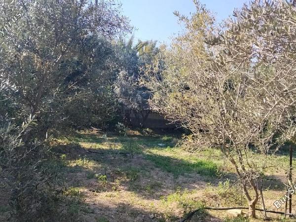 3 bedroom detached house for sale anglisides larnaca 8743690 image 16414620