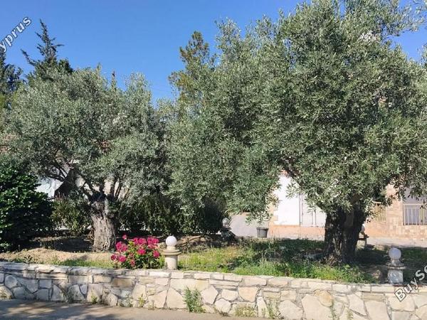 3 bedroom detached house for sale anglisides larnaca 8743690 image 16414623
