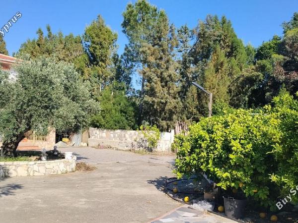 3 bedroom detached house for sale anglisides larnaca 8743690 image 16414625