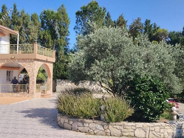 3 bedroom detached house for sale anglisides larnaca 8743690 image 16414643