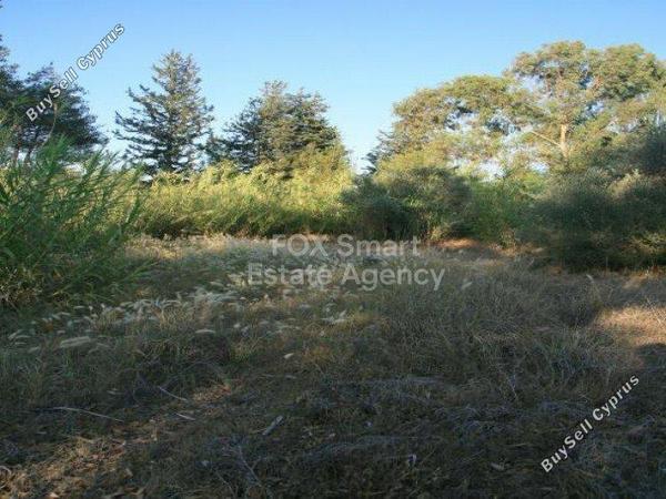 land for sale mitsero nicosia 1152690 image 5159974