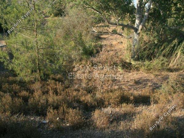 land for sale mitsero nicosia 1152690 image 5159982