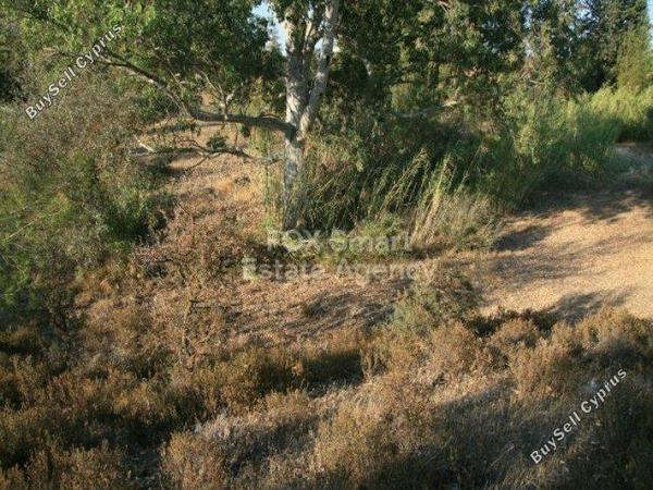 land for sale mitsero nicosia 1152690 image 5159995