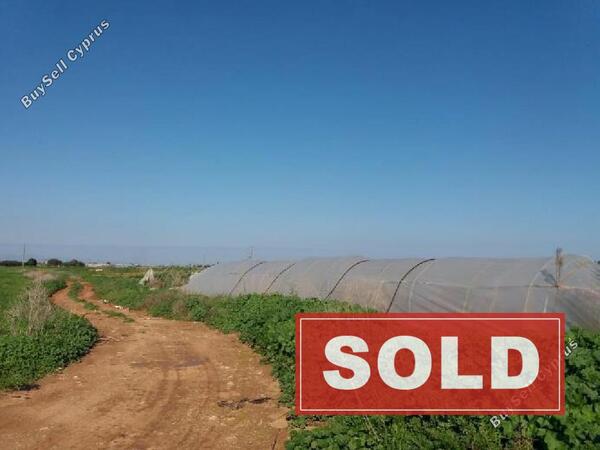 land sold frenaros famagusta 896690 image 771752