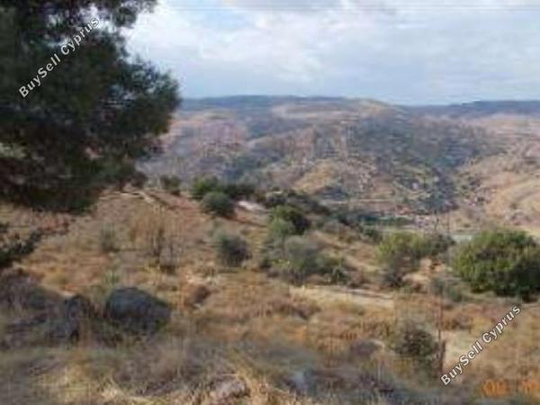 land for sale salamiou paphos 945890 image 15599315