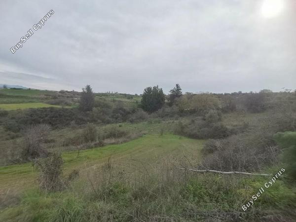 land for sale theletra paphos 8664890 image 17009082
