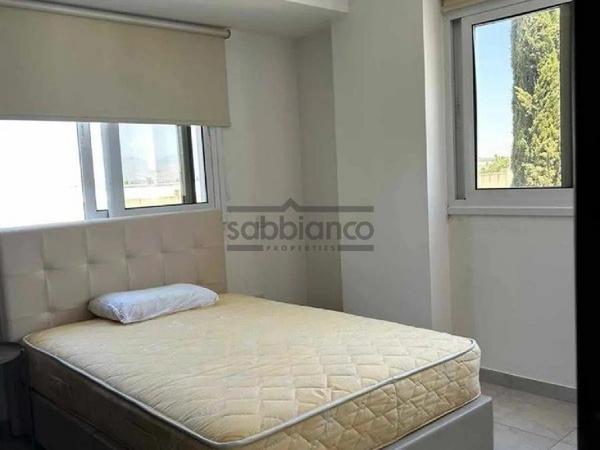 1 bedroom apartment for rent platy aglantzias nicosia 8735990 image 16345866