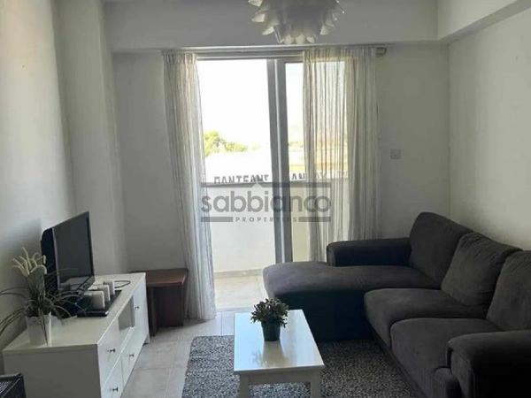 1 bedroom apartment for rent platy aglantzias nicosia 8735990 image 16345870
