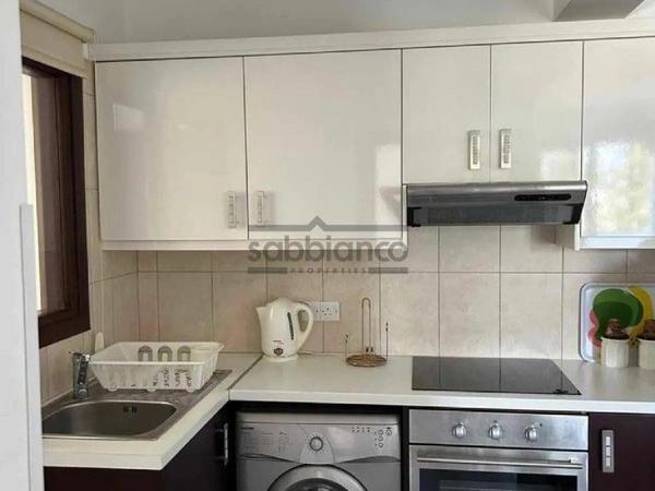 1 bedroom apartment for rent platy aglantzias nicosia 8735990 image 16345872