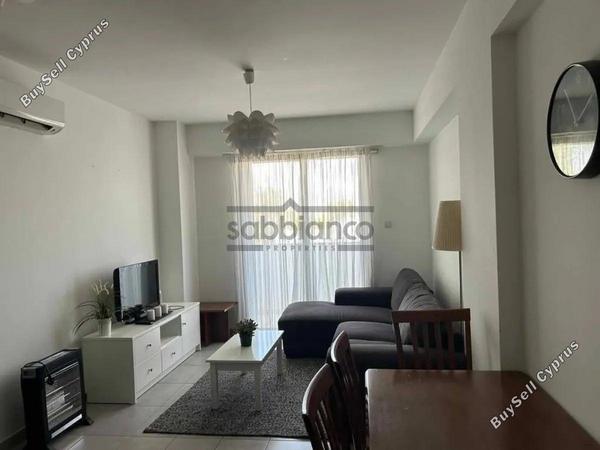 1 bedroom apartment for rent platy aglantzias nicosia 8735990 image 16345876