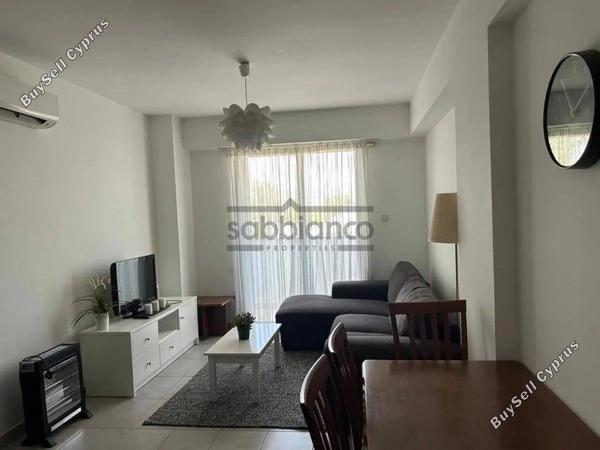1 bedroom apartment for rent platy aglantzias nicosia 8735990 image 16345888