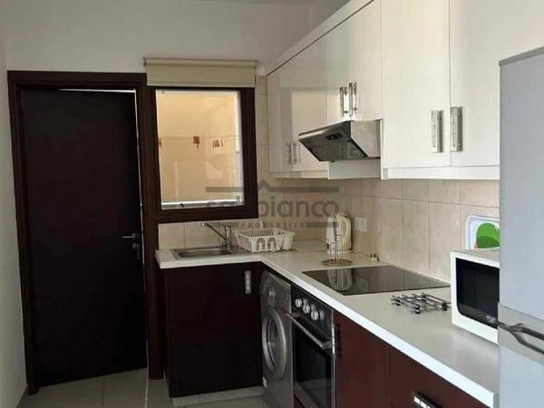 1 bedroom apartment for rent platy aglantzias nicosia 8735990 image 16345890