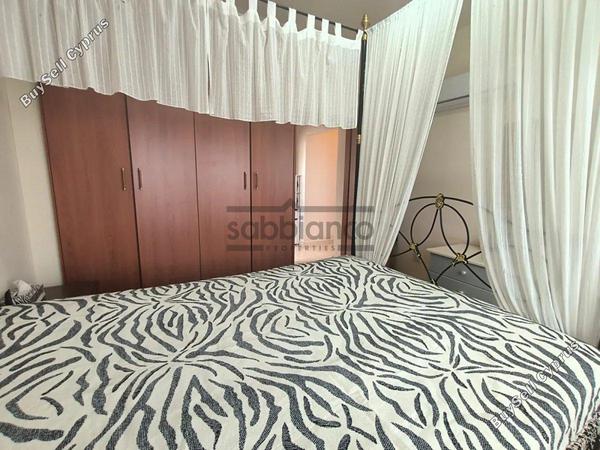 3 bedroom apartment for sale agios theodoros larnacas larnaca 8751990 image 16497936