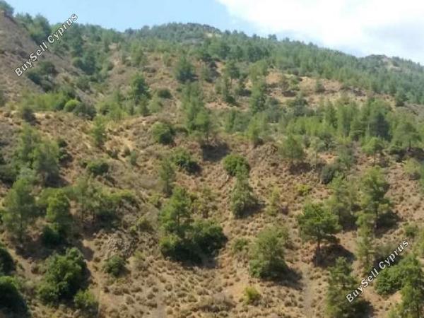 land for sale kalopanagiotis nicosia 945990 image 16700607