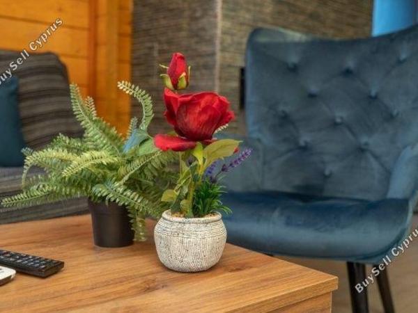 studio residential development for sale lofou limassol 1795990 image 5961560