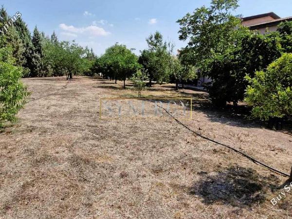 3 bedroom detached house for sale mosfiloti larnaca 1514001 image 16741422