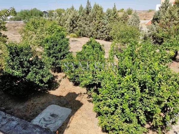 3 bedroom detached house for sale mosfiloti larnaca 1514001 image 16741423