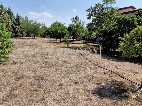3 bedroom detached house for sale mosfiloti larnaca 1514001 image 5255508