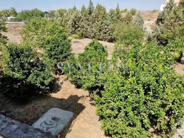 3 bedroom detached house for sale mosfiloti larnaca 1514001 image 5255516