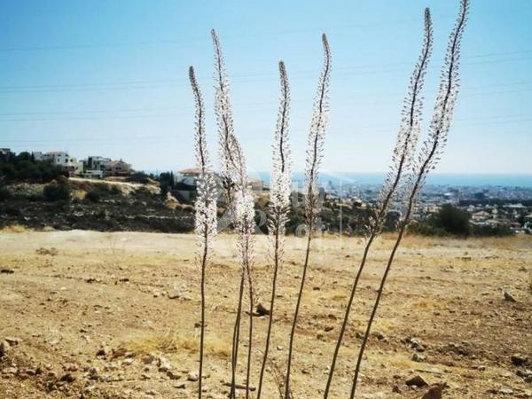 plot for sale agia fyla limassol 7661001 image 10060447