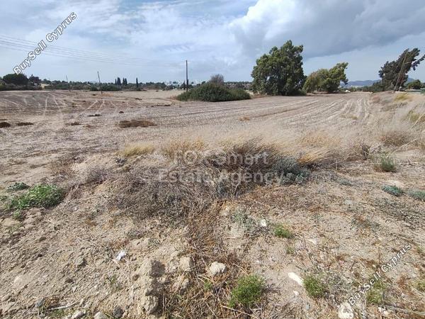 plot for sale mazotos larnaca 7751001 image 10278503