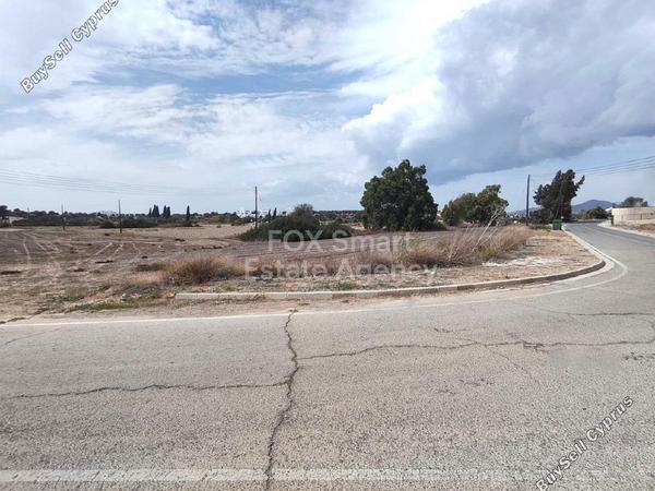 plot for sale mazotos larnaca 7751001 image 10278504